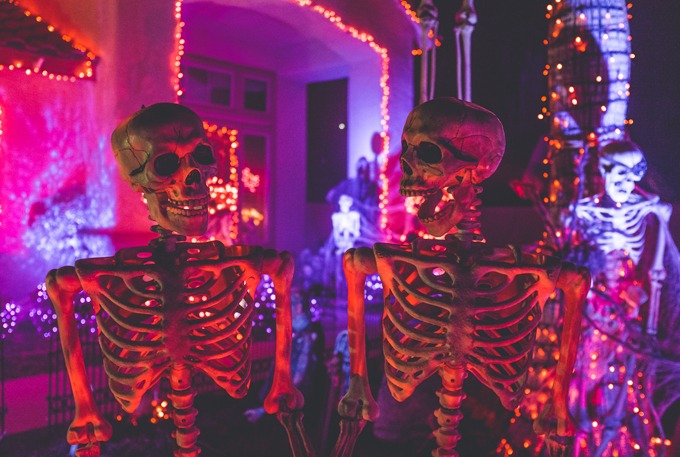 decoração de festa de halloween - esqueletos