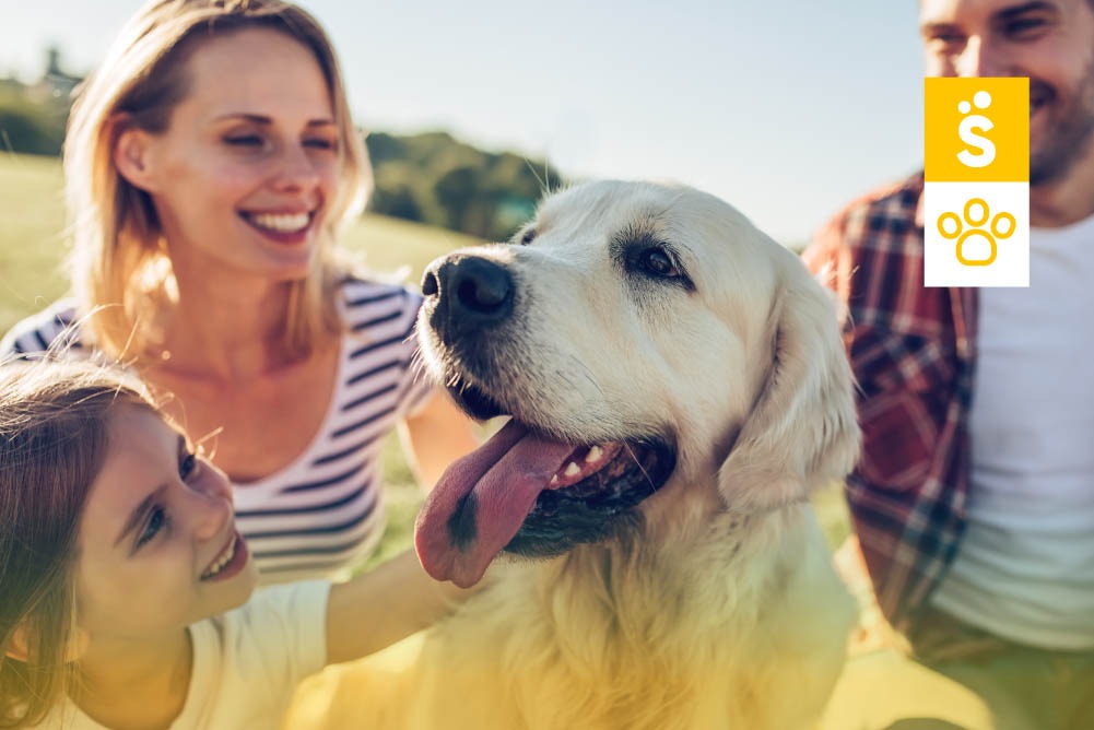 dia mundial dos animais